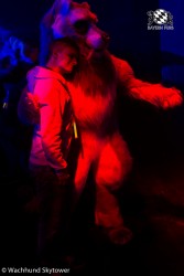 BFD8 0999 von Wachhund