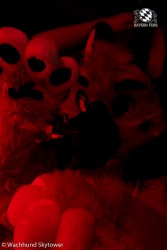 BFD8 1014 von Wachhund