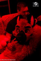 BFD8 1026 von Wachhund