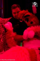 BFD8 1028 von Wachhund