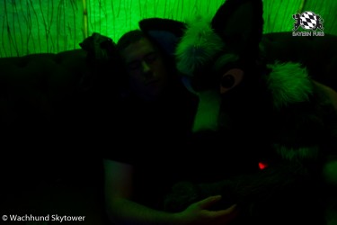 BFD8 1036 von Wachhund