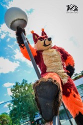 BFD3 0198 von LeeTaiger