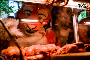 BFD3 0200 von LeeTaiger