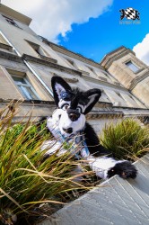 BFD3 0219 von LeeTaiger