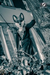 BFD3 0224 von LeeTaiger