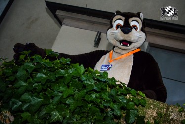 BFD3 0248 von LeeTaiger