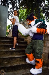 BFD3 0256 von LeeTaiger