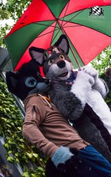 BFD3 0258 von LeeTaiger