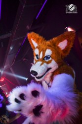 BFD3 0264 von LeeTaiger