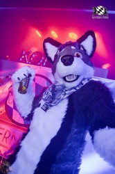 BFD3 0268 von LeeTaiger