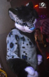 BFD3 0276 von LeeTaiger