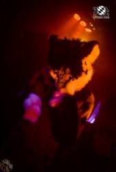 BFD3 0278 von LeeTaiger