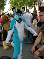 BFD3 0292 von Unbekannt