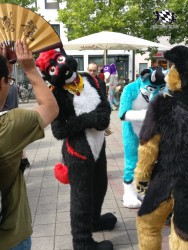 BFD3 0307 von Unbekannt