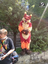 BFD3 0312 von Unbekannt