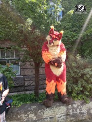 BFD3 0313 von Unbekannt