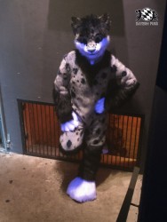 BFD3 0323 von Unbekannt