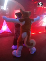 BFD3 0324 von Unbekannt