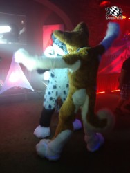 BFD3 0325 von Unbekannt