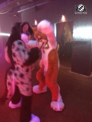 BFD3 0326 von Unbekannt