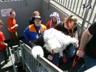 BFD3 0338 von Unbekannt