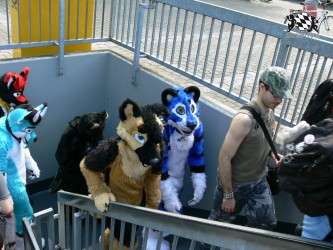 BFD3 0341 von Unbekannt