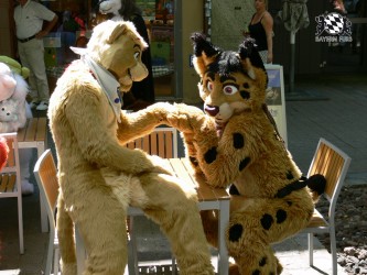 BFD3 0357 von Unbekannt