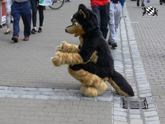 BFD3 0382 von Unbekannt