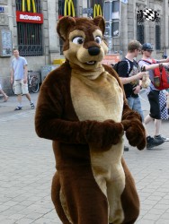 BFD3 0384 von Unbekannt