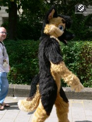 BFD3 0419 von Unbekannt