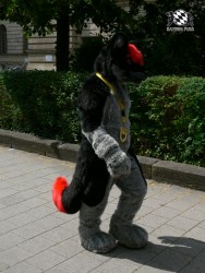 BFD3 0420 von Unbekannt