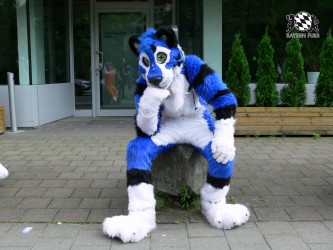 BFD3 0428 von Unbekannt