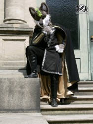 BFD3 0435 von Unbekannt