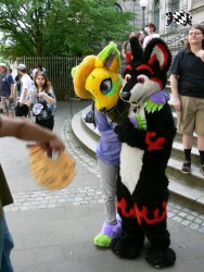 BFD3 0452 von Unbekannt