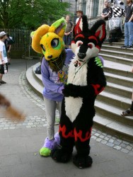 BFD3 0455 von Unbekannt