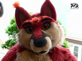 BFD3 0472 von Unbekannt