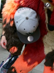 BFD3 0485 von Unbekannt