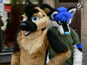 BFD3 0491 von Unbekannt