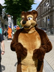 BFD3 0493 von Unbekannt