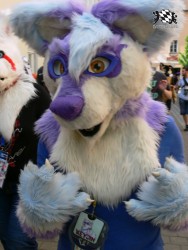 BFD3 0500 von Unbekannt