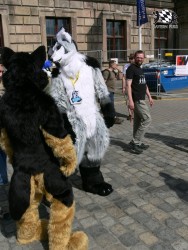 BFD3 0502 von Unbekannt