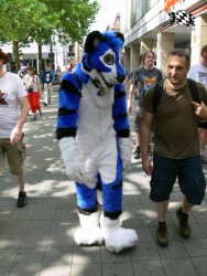 BFD3 0506 von Unbekannt