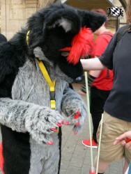 BFD3 0515 von Unbekannt