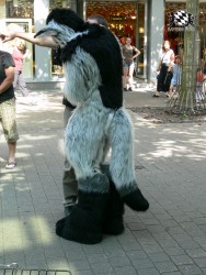 BFD3 0531 von Unbekannt