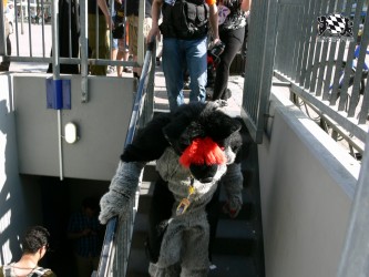 BFD3 0534 von Unbekannt