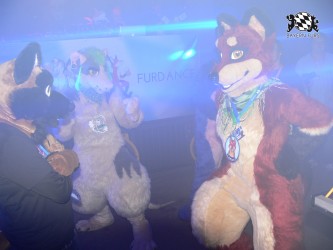 BFD3 0554 von Unbekannt