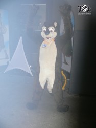 BFD3 0556 von Unbekannt