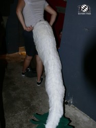 BFD3 0562 von Unbekannt