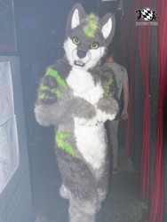 BFD3 0589 von Unbekannt