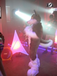 BFD3 0593 von Unbekannt